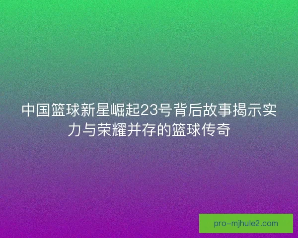 中国篮球新星崛起23号背后故事揭示实力与荣耀并存的篮球传奇